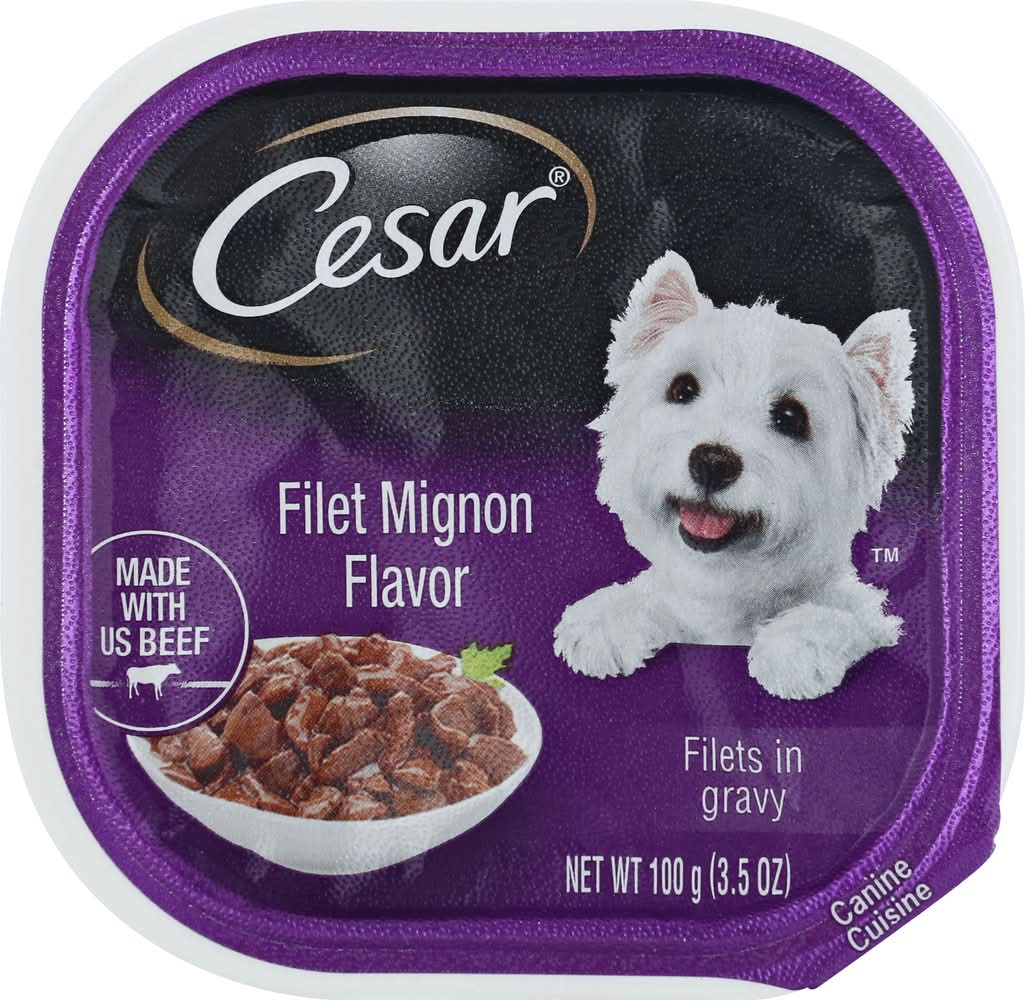 Cesar Filets in Gravy Canine Cuisine Wet Dog Food, Filet Mignon (3.5 oz)