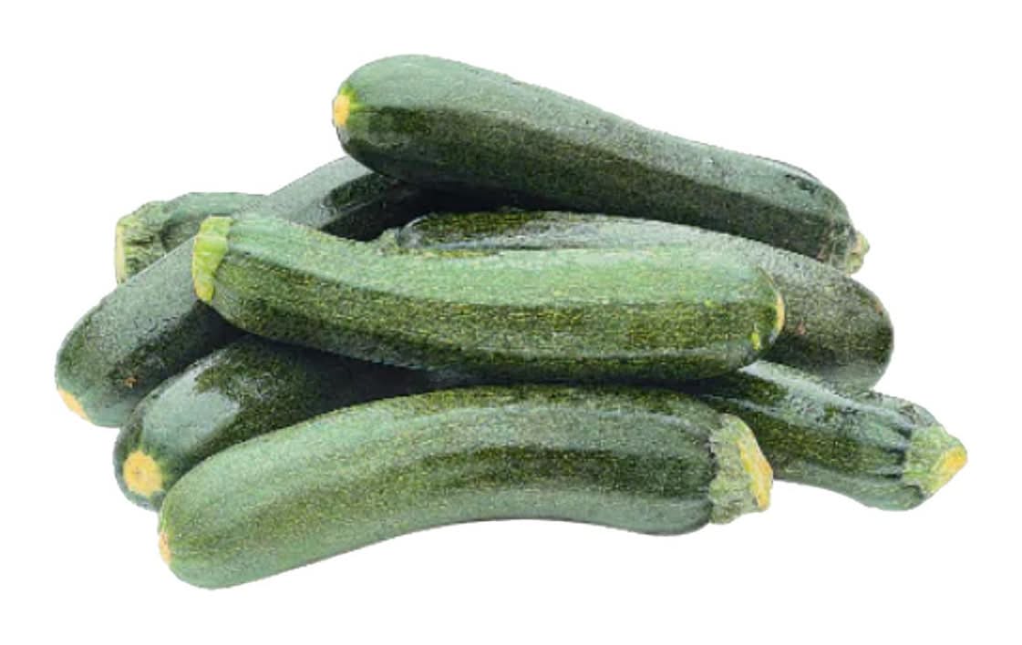Zucchini Squash