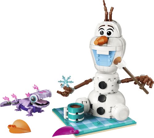 Olaf and Brunis Picnic Fun