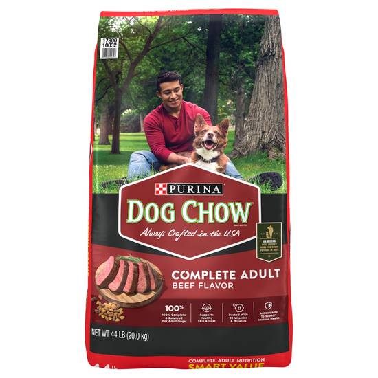 Purina Dog Chow Complete Adult Beef Flavor Dog Food