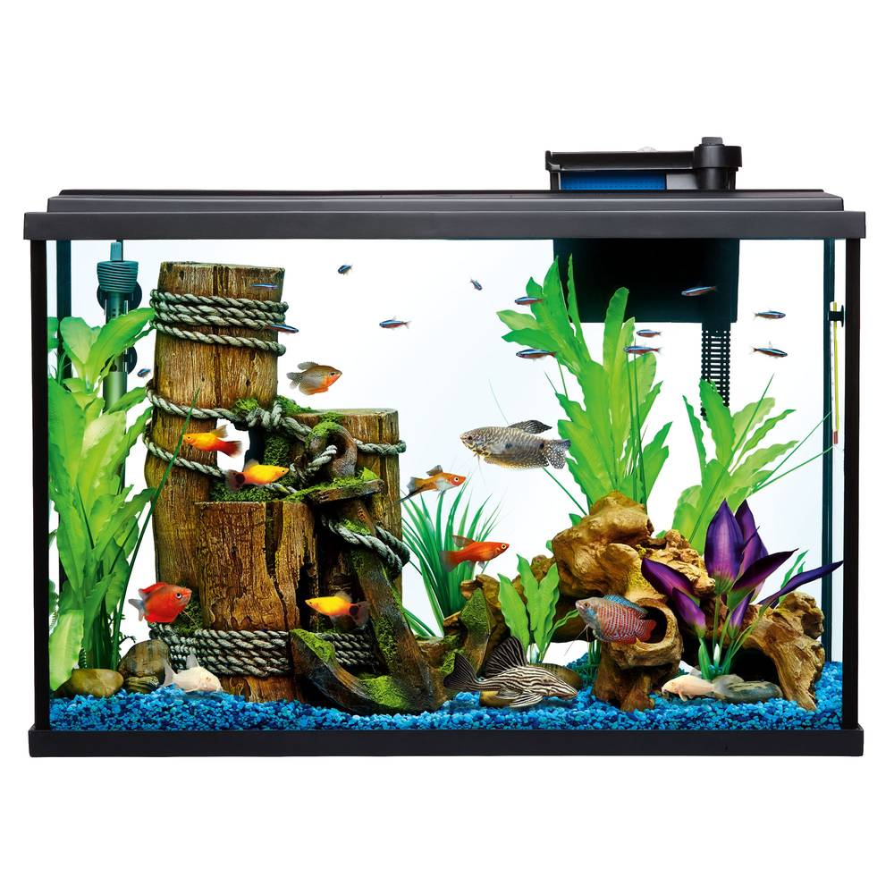 Top Fin Essentials Aquarium Starter Kit