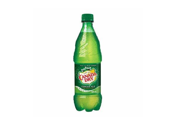 CANADA DRY (500ml)