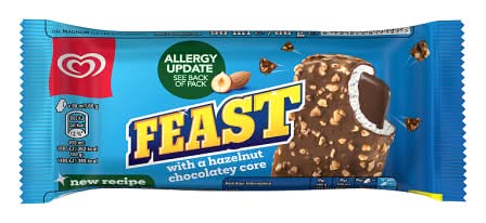 Feast Hazelnut & Chocolate, Ice Cream Bar (90ml)