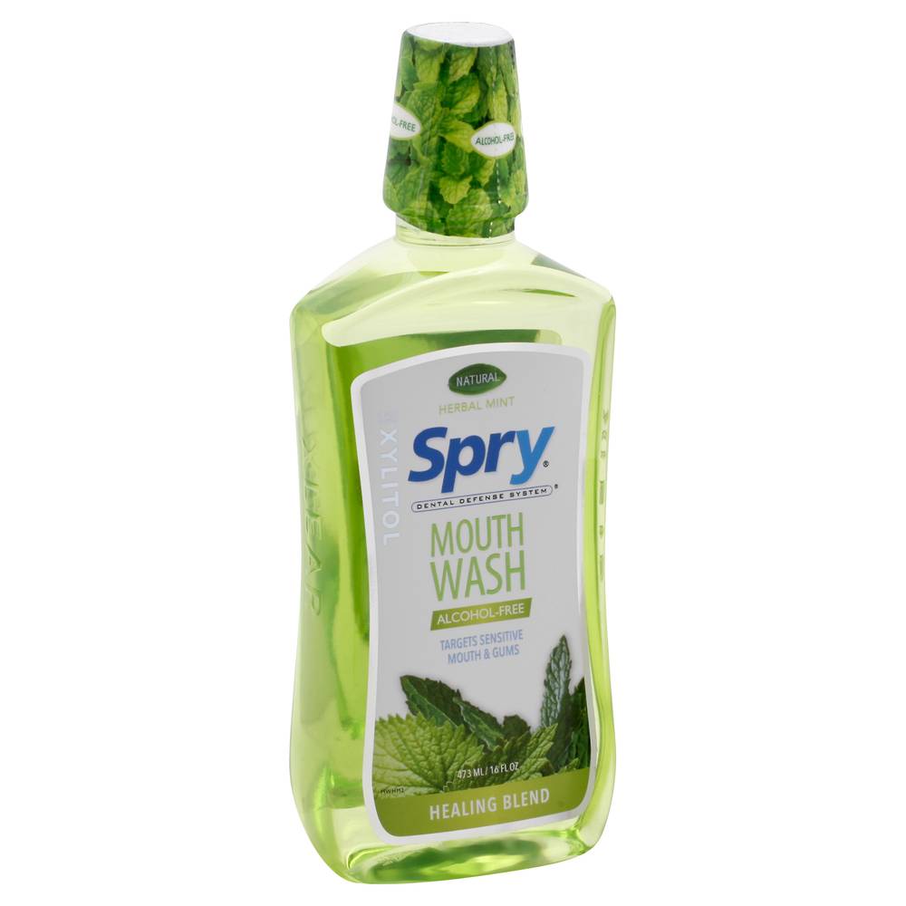 Spry Natural Healing Blend Mouthwash (herbal mint)