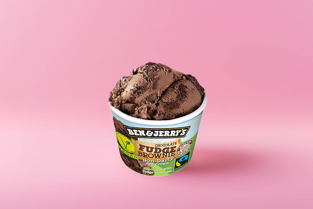 Ben & jerry's chocolate fudge brownie 100 ml