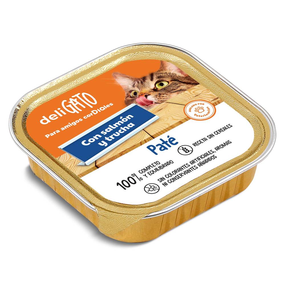 Paté Para Gato Con Salmón Y Trucha Deligato Dia Tarrina 100 G