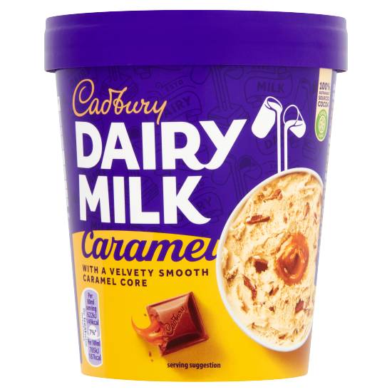 Cadbury Dairy Milk Caramel Ice Cream (480ml)