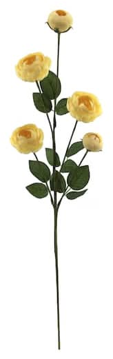 32" Ranunculus Stem With Leaves By Ashland