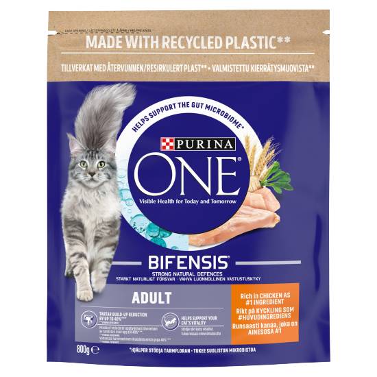 Purina One Adult Dry Cat Food Chicken and Wholegrains