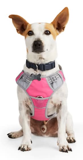 EveryYay Front Walking Reflective Dog Harness, Pink, Large/X-Large
