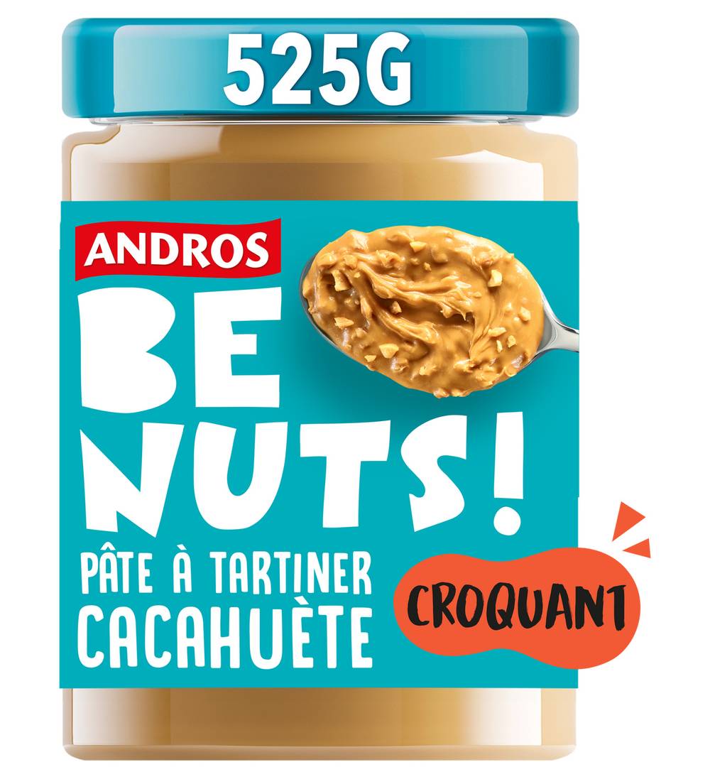 Andros - Pâte à tartiner cacahuète croquant (525g)