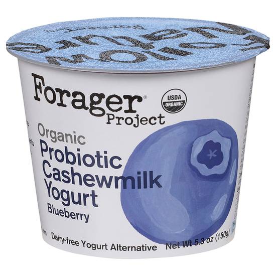 Forager Project Organic Dairy Free Cashewmilk Yogurt (blueberry )