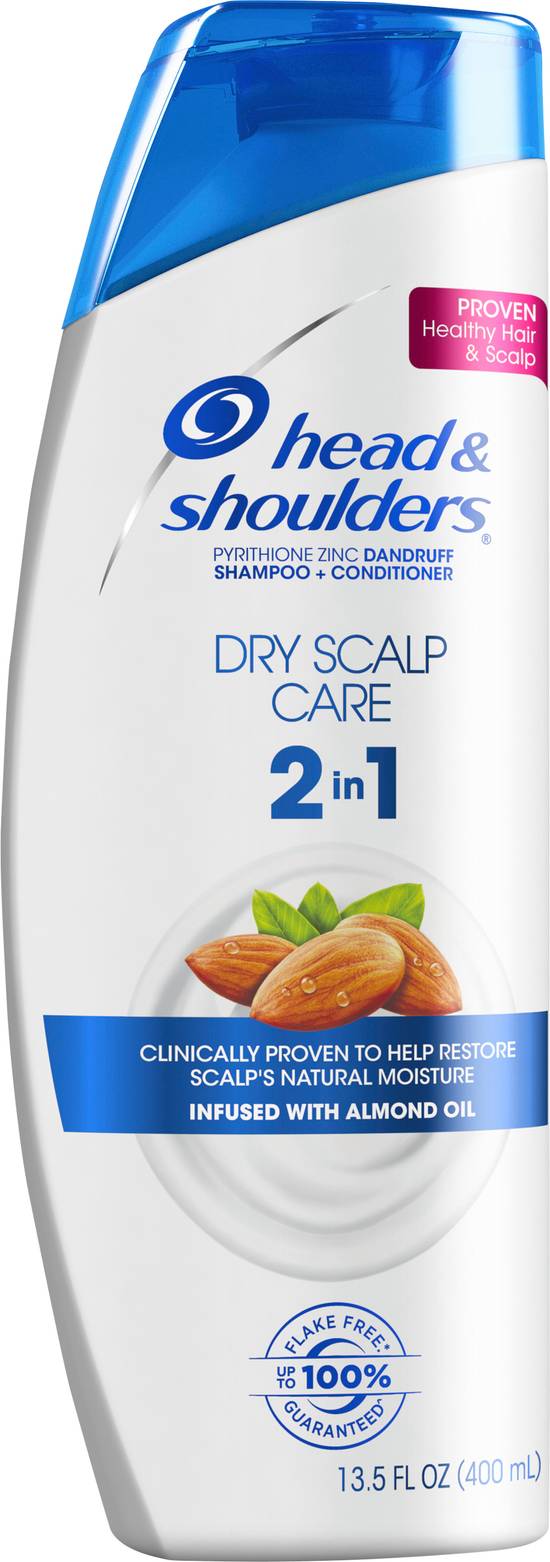 Head & Shoulders Dry Scalp Care 2 in 1 Shampoo + Conditioner