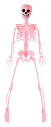 Posable Skeleton Pink