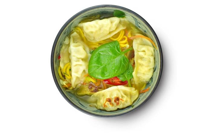 Gyoza noodle soup