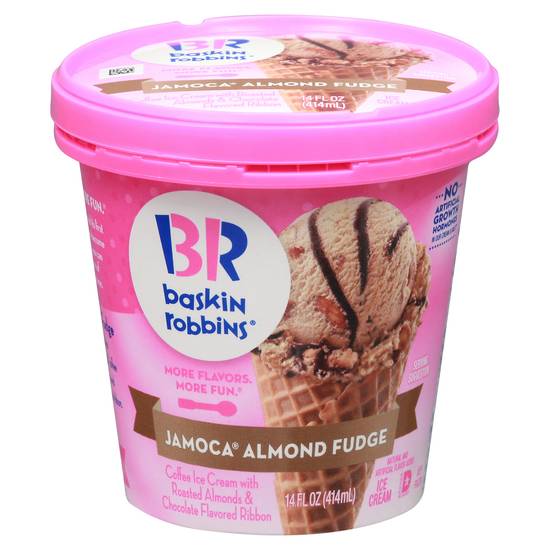 Baskin Robbins Jamoca Almond Fudge Ice Cream