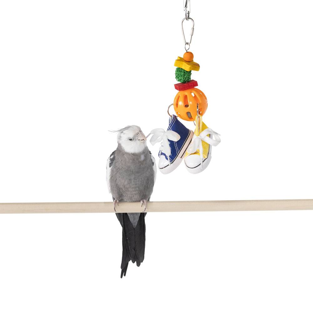 All Living Things® Rattling Bird & Sneaker Bird Toy (Color: Assorted, Size: Medium/Large)