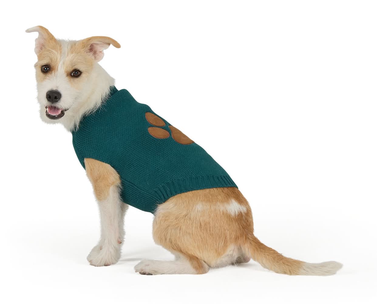 Top Paw® Paw Dog Sweater (Color: Multi Color, Size: Small)