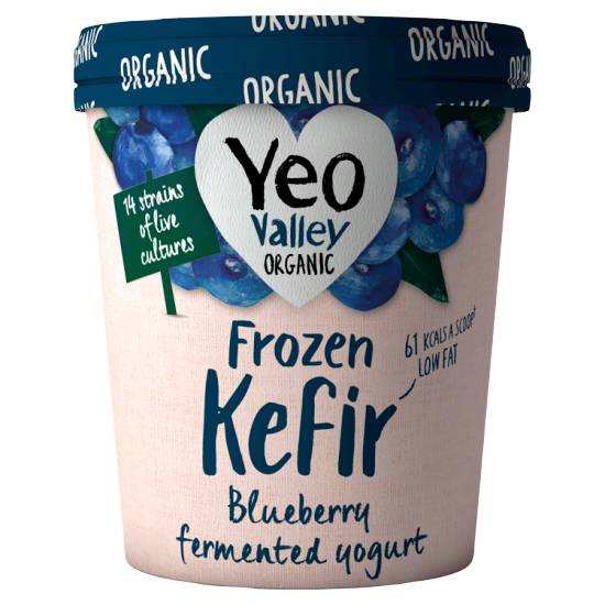 Yeo Valley Organic Frozen Kefir Yogurt Blueberry