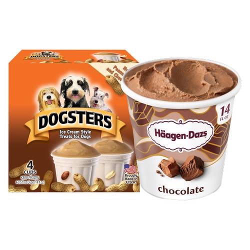 Haagen-Dazs Chocolate Ice Cream Pint/Dogsters Pet Ice Cream Bundle