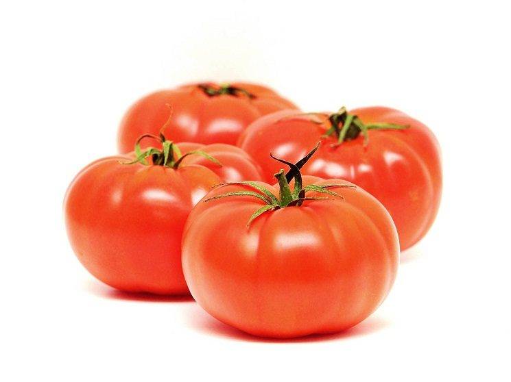 Tomatoes Premium
