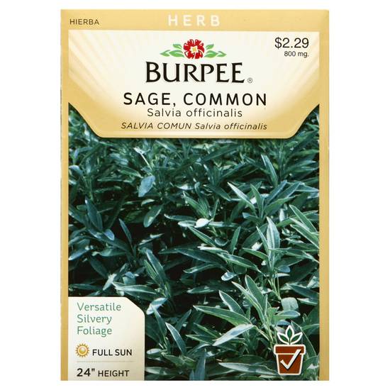 Burpee Sage Common (0.1 oz)