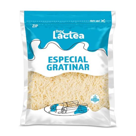 Queso especial gatinar rallado Dia Láctea bolsa 200 g