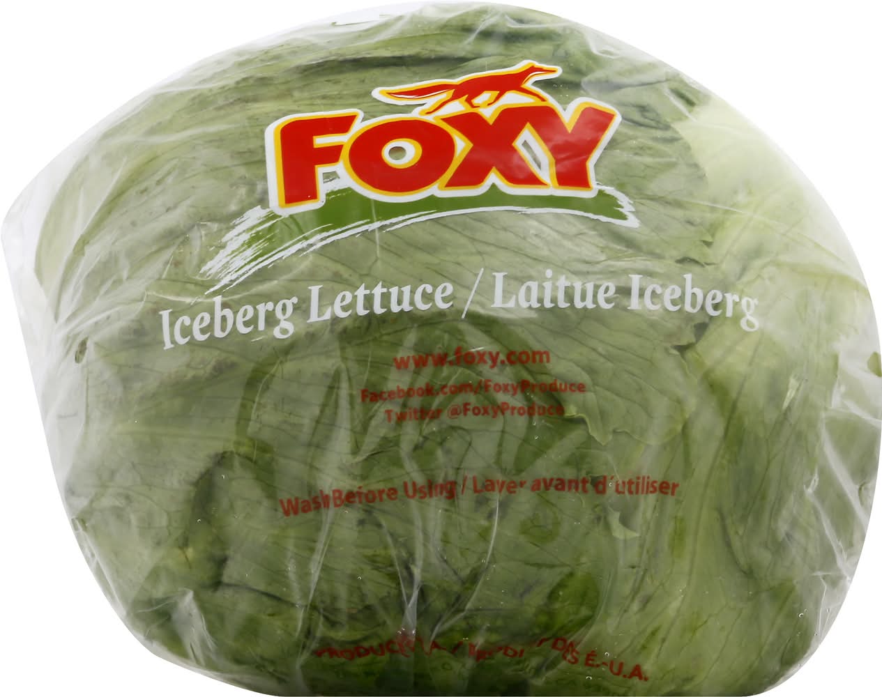 Foxy Iceberg Lettuce (1.5 lbs)