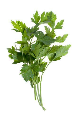 Coriander (1 bunch)