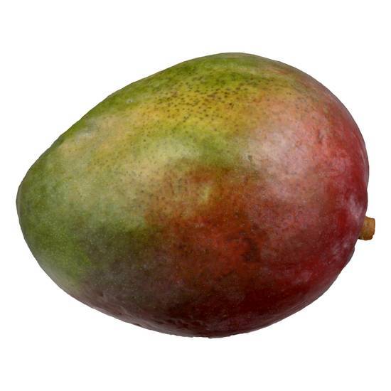 Mangue Mango