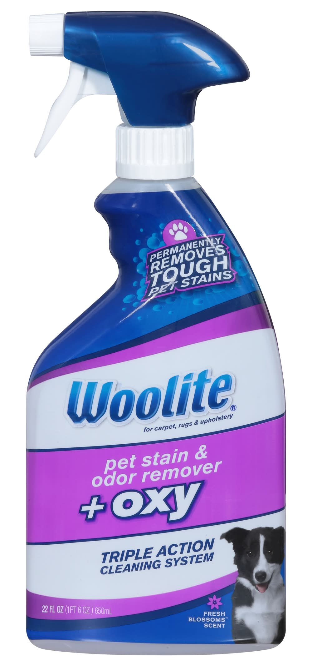Woolite Fresh Blossom Scent Pet Stain and Odor Remover + Oxy (22 fl oz)