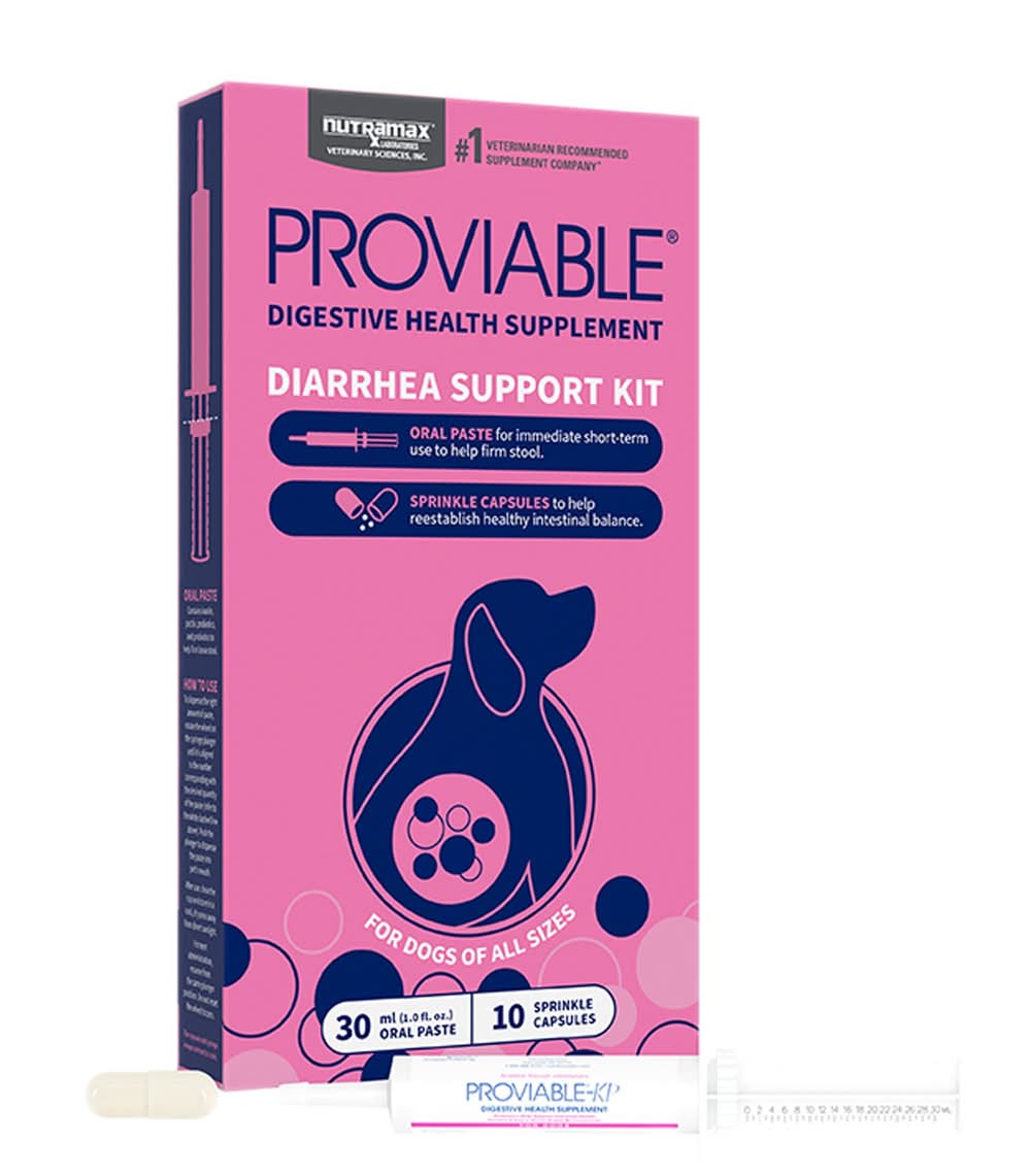 Nutramax Dog Proviable Probiotics & Prebiotics Digestive Supplement Kit, 30 ml Paste/10 Capsules