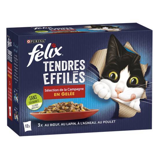 Felix pâtée pour chat pour adulte tendres effilés en gelée (12 pcs)