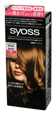 サイオス　Hcクリーム　2B　シャンパンベージュ(50G+50G)