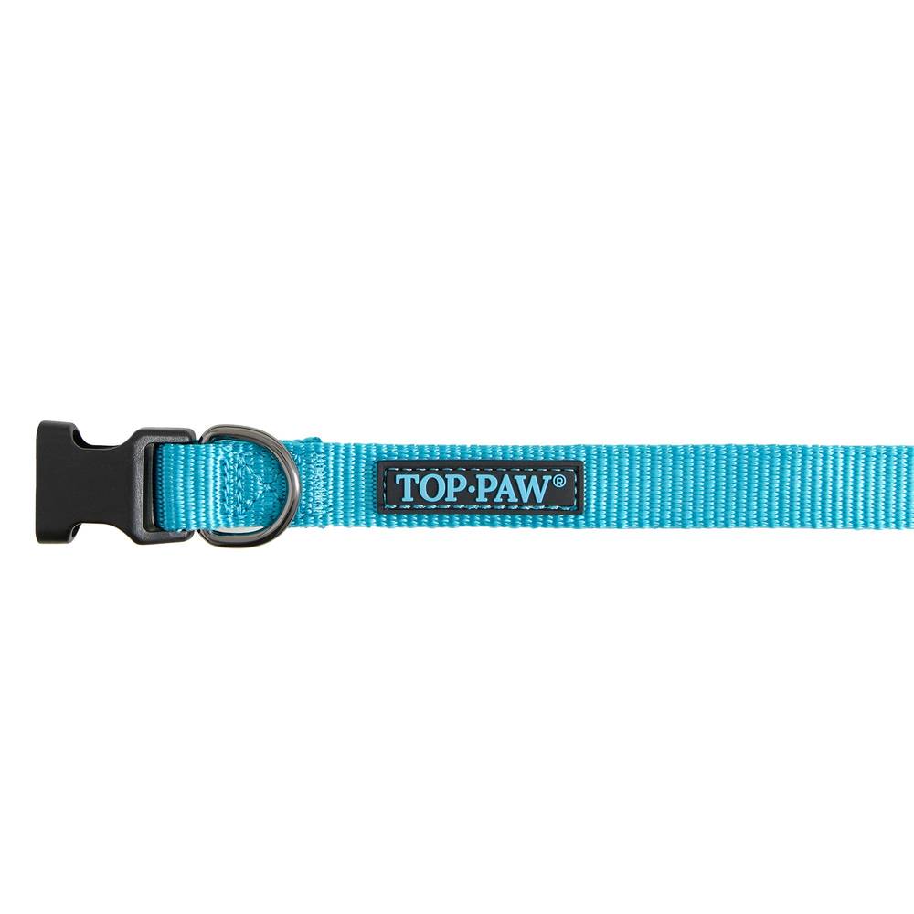 Top Paw Gunmetal Nylon Dog Collar (small/aqua)
