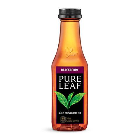 Pure Leaf Real Brewed Iced Tea (547 mL) (Blackberry)