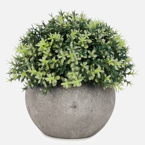 Pot gris à plante avec boule de feuillage