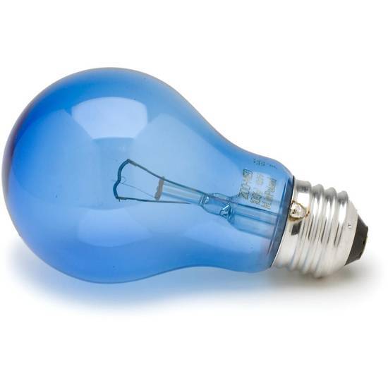 Zoo Med Daylight Blue Reptile Bulb ( large)