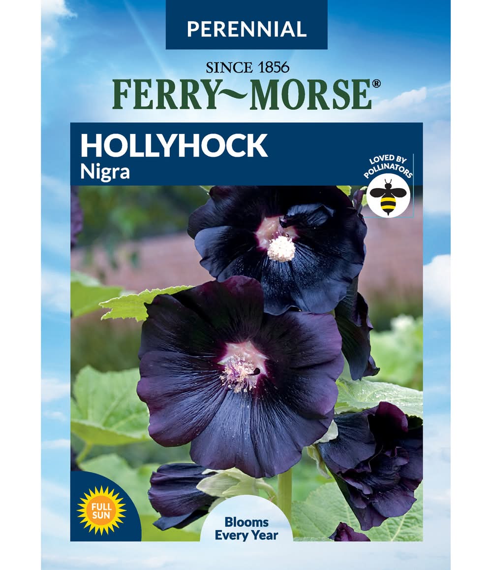 Ferry-Morse P HOLLYHOCK NIGRA