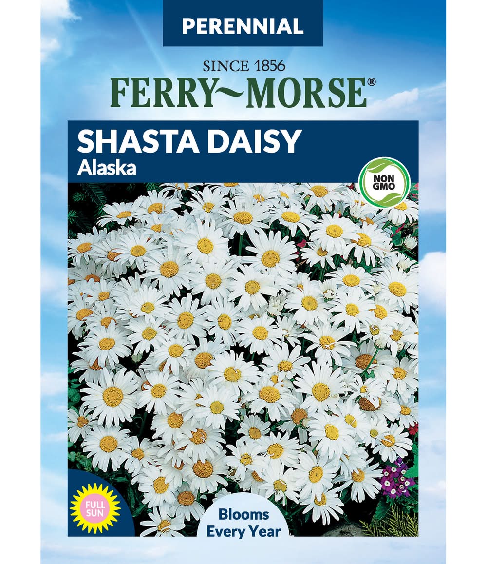 Ferry-Morse Shasta Daisy Seeds 185 Milligram(s)