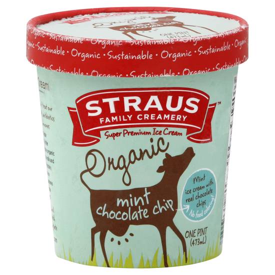 Straus Organic Ice Cream (mint chocolate chip)