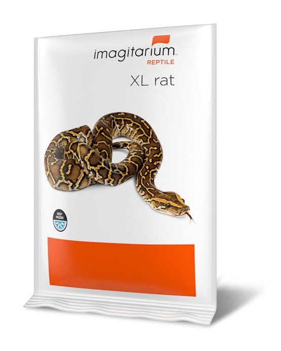 Frozen XL (Jumbo) Rat - 1 Count