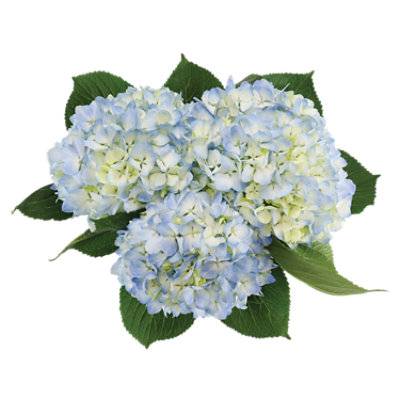 Debi Lilly Hydrangea Blue 3 Stem