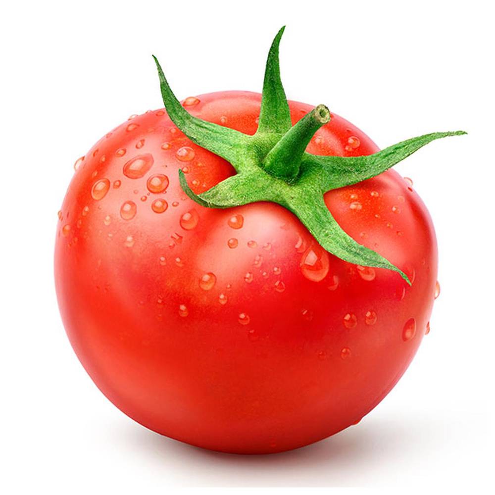 Tomatoes Stem