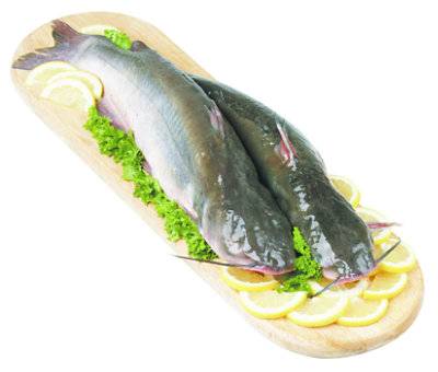 Seafood Counter Fish Catfish Whole Fresh - 1.50 Lb