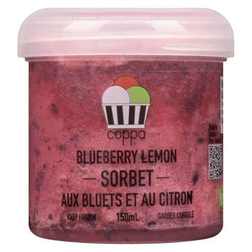 Blueberry Lemon Sorbet (vegan)