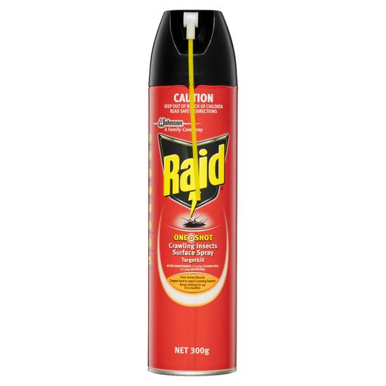 Raid One Shot Pest Surface Crawling Insects Spray Target Kill 300g