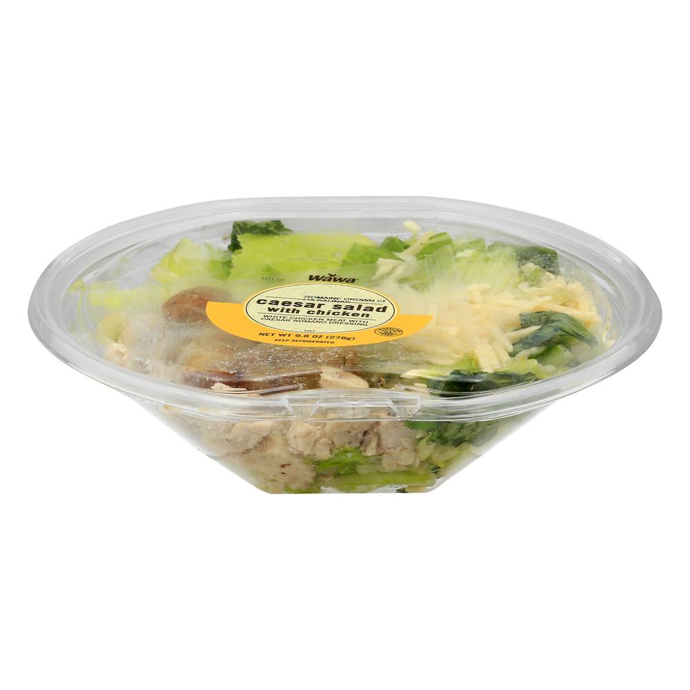 Wawa Caesar Salad With Chicken (9.8 oz)