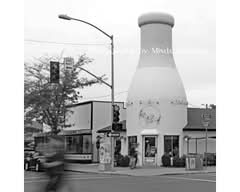 Milk Bottle & More