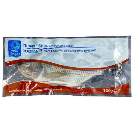 Ocean dragon poisson tilapia (300 g) - tilapia fish (300 g